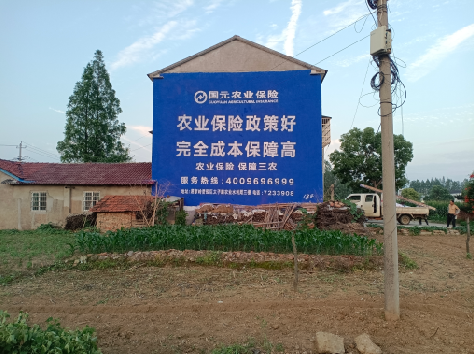 榆林市墙体广告为何受追捧？